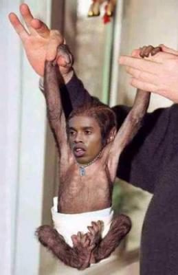 le ptit ronny
